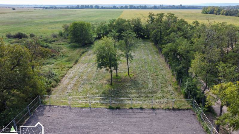 DJI_0904.jpg