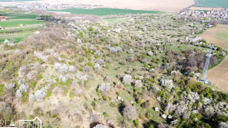 DJI_0737.jpg