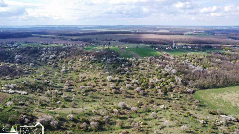 DJI_0749.jpg
