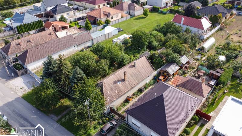 DJI_0919.jpg