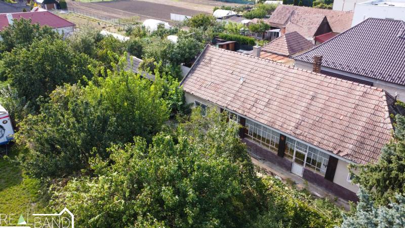 DJI_0924.jpg
