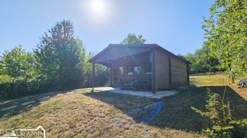 20260908_100736.jpg
